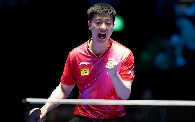 二阵容结构 二阵容结构